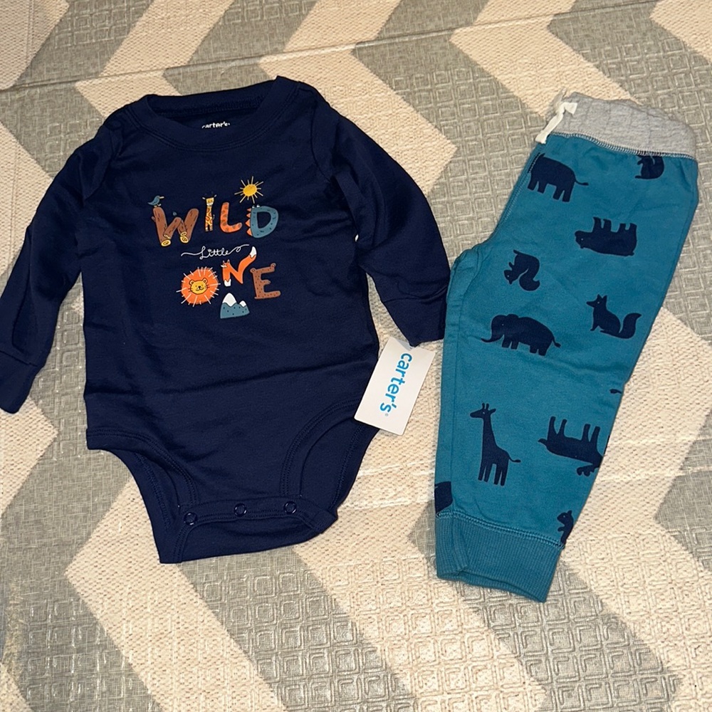 Carters 12 month set
